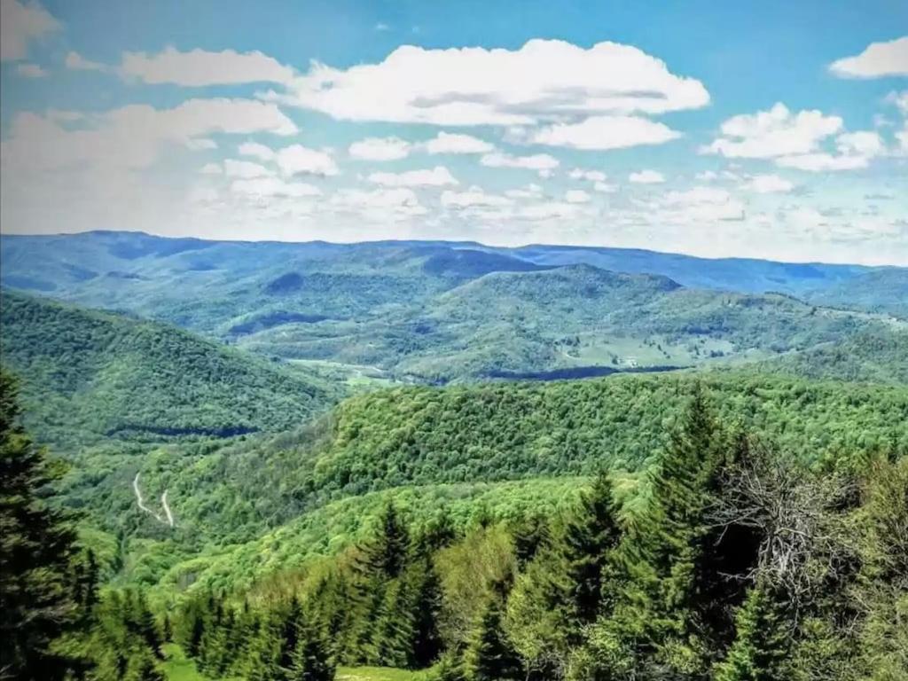 Enjoy The Long Range View, Ski In N Out Top Of The Mountain Condo Snowshoe Exteriér fotografie